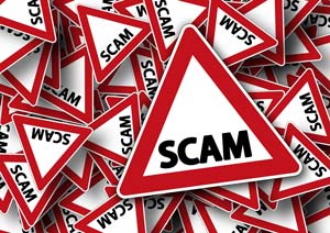 lost pet scam
